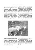 giornale/CFI0363342/1925/unico/00000090