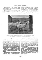 giornale/CFI0363342/1925/unico/00000091