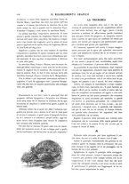 giornale/CFI0363952/1902/unico/00000158