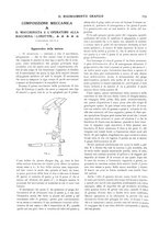 giornale/CFI0363952/1902/unico/00000339