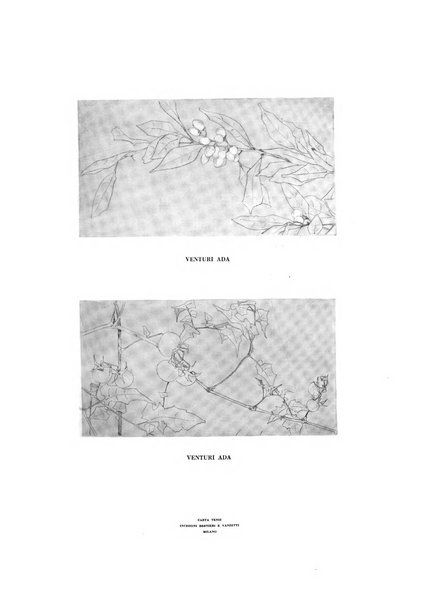 Il risorgimento grafico rivista tecnica mensile di saggi grafici e scritti tecnici