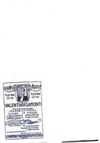 giornale/CFI0363952/1917/unico/00000172