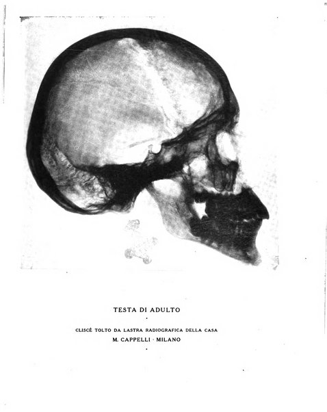 Il risorgimento grafico rivista tecnica mensile di saggi grafici e scritti tecnici