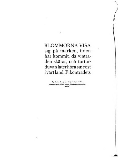 Il risorgimento grafico rivista tecnica mensile di saggi grafici e scritti tecnici