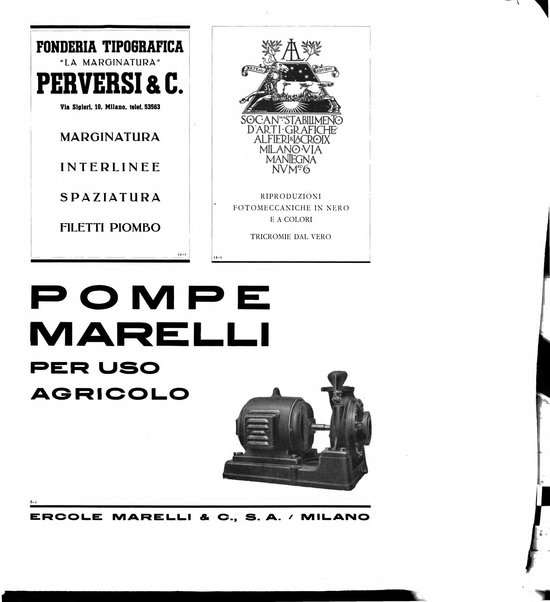 Il risorgimento grafico rivista tecnica mensile di saggi grafici e scritti tecnici