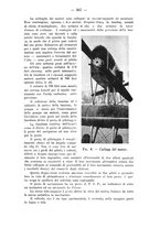 giornale/CFI0364270/1929/v.3/00000407