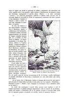 giornale/CFI0364270/1931/v.1/00000229