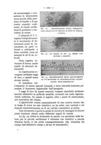 giornale/CFI0364270/1933/v.1/00000253