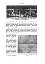 giornale/CFI0364270/1933/v.1/00000261