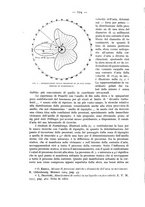 giornale/CFI0364270/1933/v.2/00000140