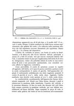 giornale/CFI0364270/1933/v.2/00000456