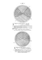 giornale/CFI0364270/1933/v.2/00000554