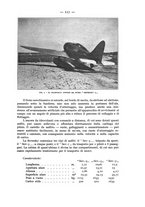 giornale/CFI0364270/1934/v.1/00000145