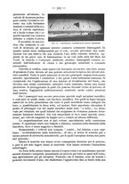 giornale/CFI0364270/1934/v.1/00000399