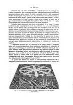 giornale/CFI0364270/1934/v.2/00000461