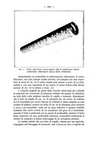 giornale/CFI0364270/1934/v.2/00000611