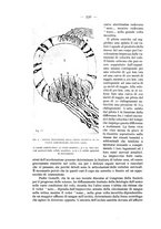giornale/CFI0364270/1935/v.1/00000658