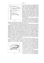 giornale/CFI0364270/1935/v.2/00000670