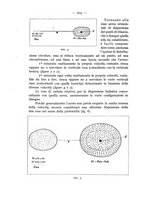 giornale/CFI0364270/1935/v.4/00000278