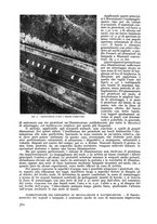 giornale/CFI0364270/1936/v.1/00000744