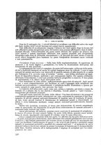 giornale/CFI0364270/1936/v.2/00000352