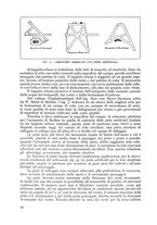 giornale/CFI0364270/1936/v.2/00000488