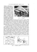 giornale/CFI0364270/1938/v.2/00000069