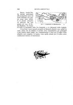 giornale/CFI0364270/1938/v.2/00000196