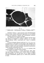 giornale/CFI0364270/1938/v.2/00000559