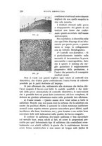 giornale/CFI0364270/1938/v.2/00000566