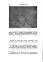giornale/CFI0364270/1938/v.3/00000266