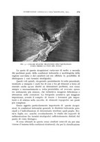 giornale/CFI0364270/1938/v.3/00000269