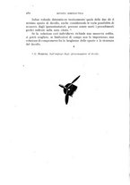 giornale/CFI0364270/1938/v.3/00000288