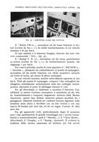 giornale/CFI0364270/1939/v.1/00000131