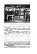 giornale/CFI0364270/1939/v.1/00000363