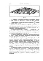 giornale/CFI0364270/1939/v.1/00000404