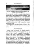 giornale/CFI0364270/1939/v.1/00000508