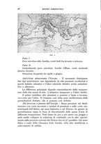 giornale/CFI0364270/1939/v.1/00000900