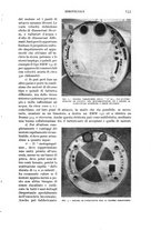 giornale/CFI0364270/1939/v.1/00001005