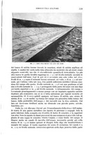 giornale/CFI0364270/1939/v.1/00001251