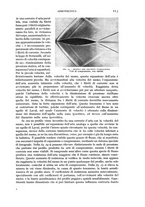 giornale/CFI0364270/1939/v.2/00000159