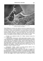 giornale/CFI0364270/1939/v.2/00000619