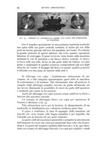 giornale/CFI0364270/1941/unico/00000040