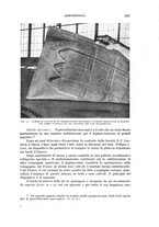 giornale/CFI0364270/1941/unico/00000587