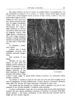 giornale/CFI0364301/1922/unico/00000315