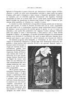 giornale/CFI0364301/1925/unico/00000317