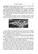 giornale/CFI0364301/1928/unico/00000049