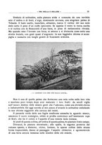 giornale/CFI0364301/1928/unico/00000343