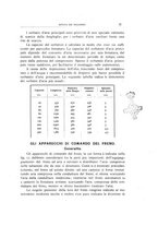 giornale/CFI0364369/1913/unico/00000031