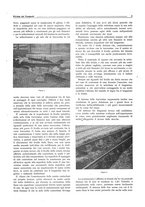 giornale/CFI0364369/1917/unico/00000023